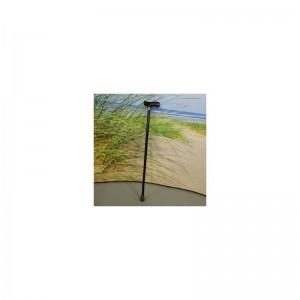 wandelstok hout